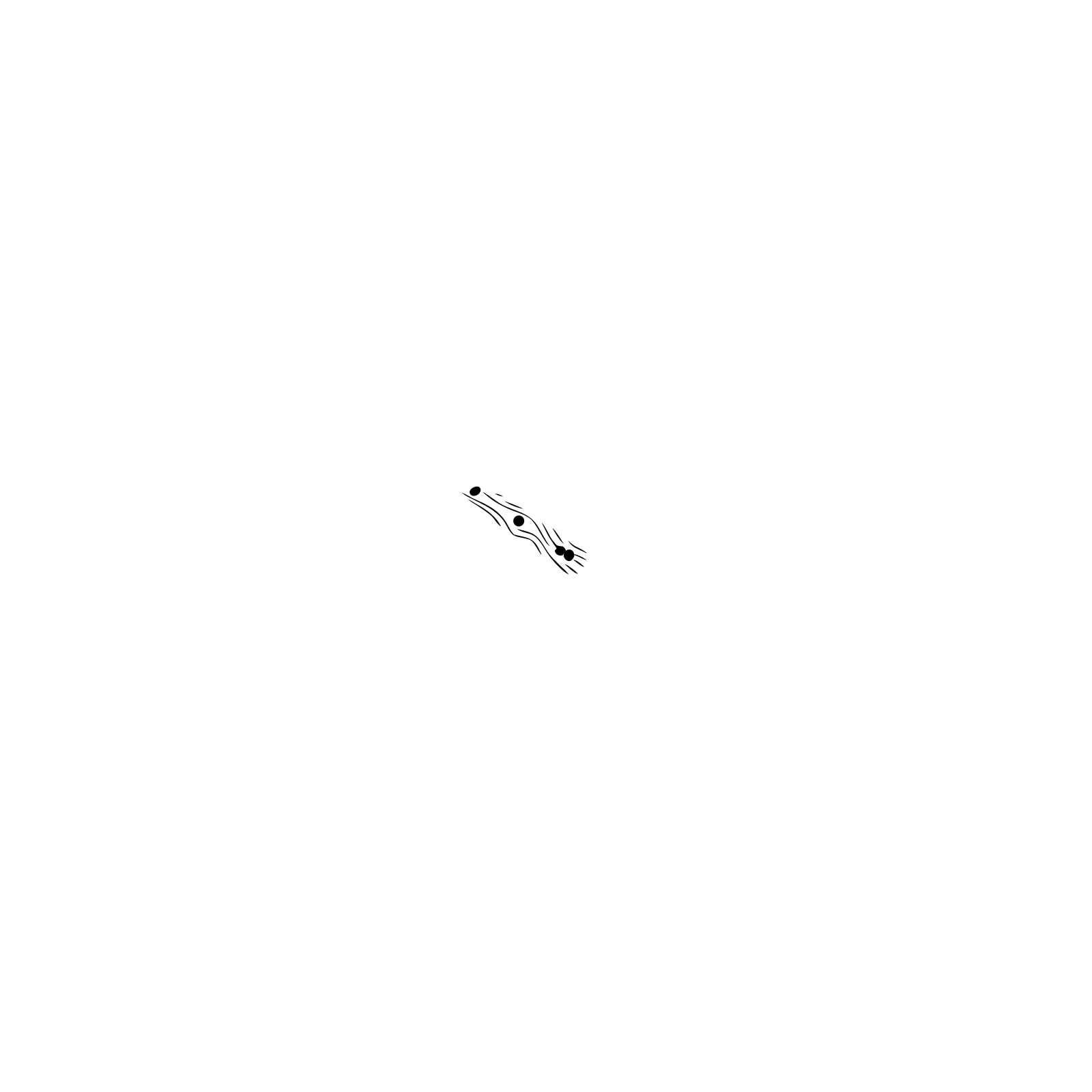 Chieftains Smokehouse & Butcher